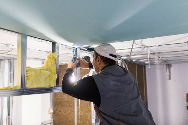 Best Basement Insulation  in Deland, FL