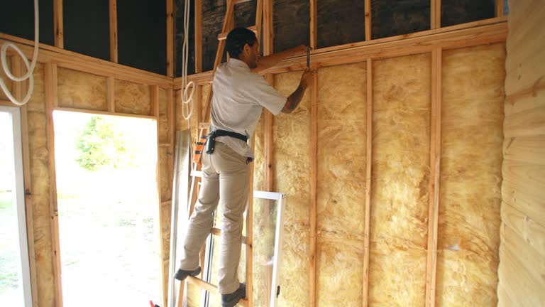 Best Basement Insulation  in Deland, FL