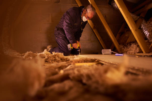 Best Batt and Roll Insulation  in Deland, FL